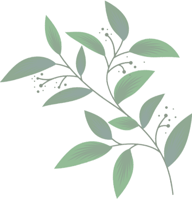 body-bg-02.png